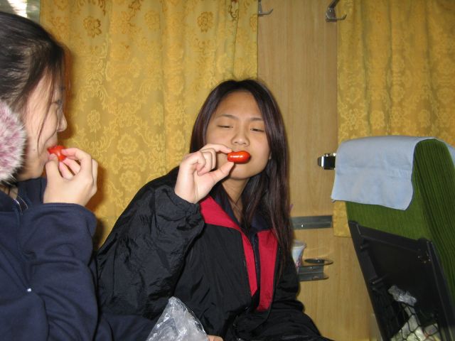 Josephine intimidating the misshapen tomatoe.