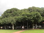 Hawaii 082403 016.jpg