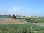 Formosan Farmland